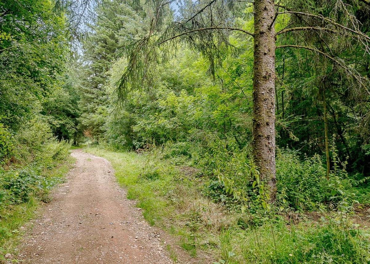 מלון הוניטון Hornbeam Country Park מראה חיצוני תמונה